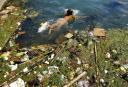 a-child-swims-in-a-polluted-reservoir-southwest-of-chinas-guizhou-province-in-september-2006.jpg